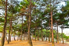 별별여행 > 해맞이공원 | 별별시장&별별여행 ┃ 여행문화의 새로운 트렌드를 만들다 별별여행 > 해맞이공원
