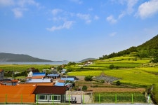 별별여행 > 선학동유채꽃마을 | 별별시장&별별여행 ┃ 여행문화의 새로운 트렌드를 만들다 별별여행 > 선학동유채꽃마을