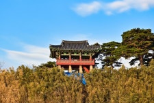 별별여행 > 청간정 | 별별시장&별별여행 ┃ 여행문화의 새로운 트렌드를 만들다 별별여행 > 청간정