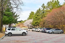 별별여행 > 청간정 | 별별시장&별별여행 ┃ 여행문화의 새로운 트렌드를 만들다 별별여행 > 청간정