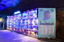 별별여행 > 광명동굴 | 별별시장&별별여행  여행문화의 새로운 트렌드를 만들다 별별여행 > 광명동굴