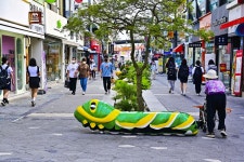 별별여행 > 청춘맛길 | 별별시장&별별여행 ┃ 여행문화의 새로운 트렌드를 만들다 별별여행 > 청춘맛길