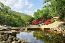 별별여행 숙소 > 몬댕이펜션 | 별별시장&별별여행 ┃ 여행문화의 새로운 트렌드를 만들다 별별시장&별별여행 ┃ 여행문화의 새로운 트렌드를 만들다