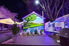 별별여행 > 청도프로방스포토랜드(야경) | 별별시장&별별여행 ┃ 여행문화의 새로운 트렌드를 만들다 별별여행 > 청도프로방스포토랜드(야경)