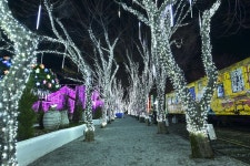 별별여행 > 청도프로방스포토랜드(야경) | 별별시장&별별여행 ┃ 여행문화의 새로운 트렌드를 만들다 별별여행 > 청도프로방스포토랜드(야경)