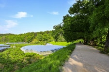 별별여행 > 반곡지 | 별별시장&별별여행 ┃ 여행문화의 새로운 트렌드를 만들다 별별여행 > 반곡지