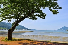 별별여행 > 앵강다숲마을 | 별별시장&별별여행 ┃ 여행문화의 새로운 트렌드를 만들다 별별여행 > 앵강다숲마을