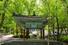 별별여행 > 구곡폭포&문배마을 | 별별시장&별별여행 ┃ 여행문화의 새로운 트렌드를 만들다 별별여행 > 구곡폭포&문배마을