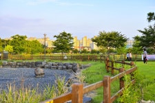 별별여행 > 청수호수공원 | 별별시장&별별여행 ┃ 여행문화의 새로운 트렌드를 만들다 별별여행 > 청수호수공원