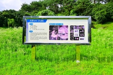 별별여행 > 옥룡사지동백숲 | 별별시장&별별여행 ┃ 여행문화의 새로운 트렌드를 만들다 별별여행 > 옥룡사지동백숲