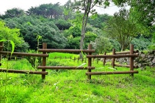 별별여행 > 옥룡사지동백숲 | 별별시장&별별여행 ┃ 여행문화의 새로운 트렌드를 만들다 별별여행 > 옥룡사지동백숲