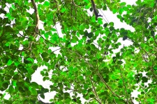 별별여행 > 옥룡사지동백숲 | 별별시장&별별여행 ┃ 여행문화의 새로운 트렌드를 만들다 별별여행 > 옥룡사지동백숲