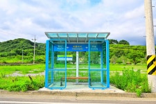 별별여행 > 옥룡사지동백숲 | 별별시장&별별여행 ┃ 여행문화의 새로운 트렌드를 만들다 별별여행 > 옥룡사지동백숲