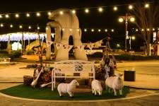 별별여행 > 산정호수(야경) | 별별시장&별별여행 ┃ 여행문화의 새로운 트렌드를 만들다 별별여행 > 산정호수(야경)