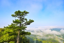 별별여행 > 구봉산 | 별별시장&별별여행 ┃ 여행문화의 새로운 트렌드를 만들다 별별여행 > 구봉산
