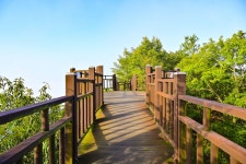 별별여행 > 구봉산 | 별별시장&별별여행 ┃ 여행문화의 새로운 트렌드를 만들다 별별여행 > 구봉산