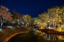 별별여행 > 동궁과월지(야경) | 별별시장&별별여행 ┃ 여행문화의 새로운 트렌드를 만들다 별별여행 > 동궁과월지(야경)