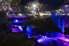 별별여행 > 동궁과월지(야경) | 별별시장&별별여행 ┃ 여행문화의 새로운 트렌드를 만들다 별별여행 > 동궁과월지(야경)