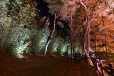 별별여행 > 동궁과월지(야경) | 별별시장&별별여행 ┃ 여행문화의 새로운 트렌드를 만들다 별별여행 > 동궁과월지(야경)