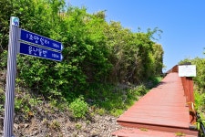 별별여행 > 죽도둘레길 | 별별시장&별별여행 ┃ 여행문화의 새로운 트렌드를 만들다 별별여행 > 죽도둘레길