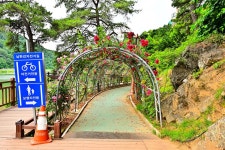 별별여행 > 소금정공원＆장미터널 | 별별시장&별별여행 ┃ 여행문화의 새로운 트렌드를 만들다 별별여행 > 소금정공원＆장미터널