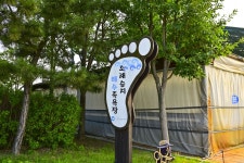 별별여행 > 소래습지생태공원 | 별별시장&별별여행 ┃ 여행문화의 새로운 트렌드를 만들다 별별여행 > 소래습지생태공원