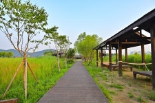 별별여행 > 소래습지생태공원 | 별별시장&별별여행 ┃ 여행문화의 새로운 트렌드를 만들다 별별여행 > 소래습지생태공원