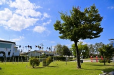 별별여행 > 중앙탑사적공원 | 별별시장&별별여행 ┃ 여행문화의 새로운 트렌드를 만들다 별별여행 > 중앙탑사적공원