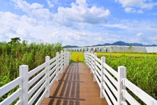 별별여행 > 강진만생태공원 | 별별시장&별별여행 ┃ 여행문화의 새로운 트렌드를 만들다 별별여행 > 강진만생태공원