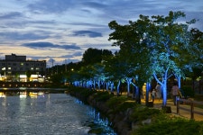 별별여행 > 우로지자연생태공원(야경) | 별별시장&별별여행 ┃ 여행문화의 새로운 트렌드를 만들다 별별여행 > 우로지자연생태공원(야경)