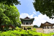 별별여행 > 광덕사 | 별별시장&별별여행 ┃ 여행문화의 새로운 트렌드를 만들다 별별여행 > 광덕사