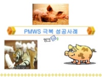 농장PMWS 발병 대응 성공사례