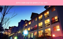 [경주펜션]러브앤러브펜션(니캉내캉, 2월3일~5일) - 사는 게 즐겁다! 롯데닷컴