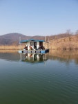 초평지윤씨네 유료낚시터 > 2월넷째주 조황정보입니다 : 낚시사랑