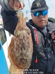 출조안내 - **(왕)갑오징어**(포획자) 홍원항 ^위풍당당^ (뉴~승리호)6월7일 (전원) 만~족~한 조황입니다!! ~긴급~ 내일 /8일(일요일) 자리여유 있으니... 
