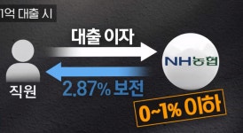 농협직원들의 이자 안 내는 비밀대출   > 세상 만사 > 세상만사썰