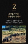 농협몰(NH싱씽몰) 오늘보감 무항생제 흑염소52% 함초 먹인 흑염소진액 엑기스 흑염소즙 90ml 30포 x 4박스(총120포)