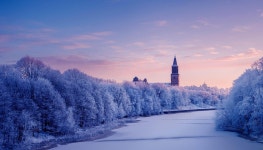 공기출 - 2009 지방직 9급 한국사 문제 해설