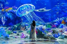 이벤트&패키지 | Hanwha Resorts