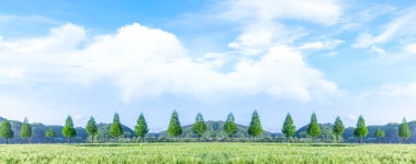 한화리조트