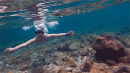 외방커뮤니티 > 헐리우드 > 포기가 안된다, 마일즈! 내 마일즈!! (bgm有/쬐금스압)