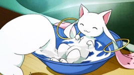 외방커뮤니티 > 만화방 > 민화방냔들이 꼽은 키우고싶은 힐링 캐릭터 TOP3 (브금)