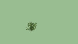Arbusto | 3D Warehouse Arbusto
