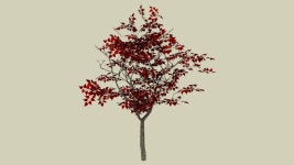 red 3d tree - Model - 3D Warehouse