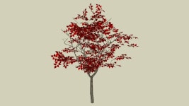 red 3d tree - Model - 3D Warehouse