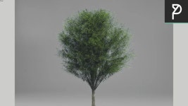 2DTrees043 Leaf Medium - Model - 3D Warehouse