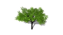 green tree2 | 3D Warehouse green tree2