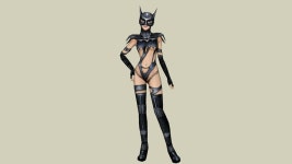 美女蝙蝠侠 | 3D Warehouse 美女蝙蝠侠