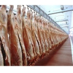 Stainless Steel Folding Door Chiller Meat Freezer, Capacity: 100 L, Rs 850000 | ID: 6220910012 Chiller Meat Freezer