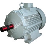 Three Phase Dual Speed Motors, Rs 4999 /piece(s) Amit Electricals | ID: 3762680230 Dual Speed Motors